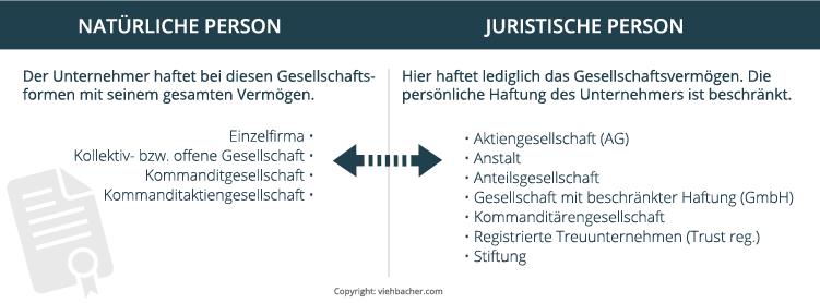 1. Überblick über alle in Liechtenstein möglichen Gesellschaftsformen
